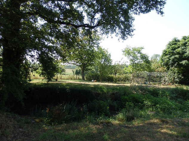 For Sale Smallholding with Gîtes and Pool - Haute Vienne 17700
