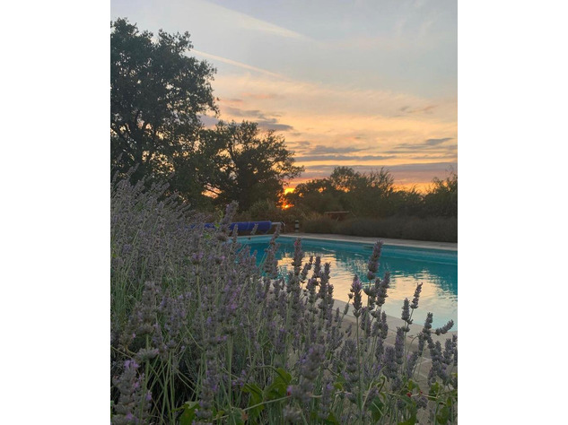 For Sale Smallholding with Gîtes and Pool - Haute Vienne 17701