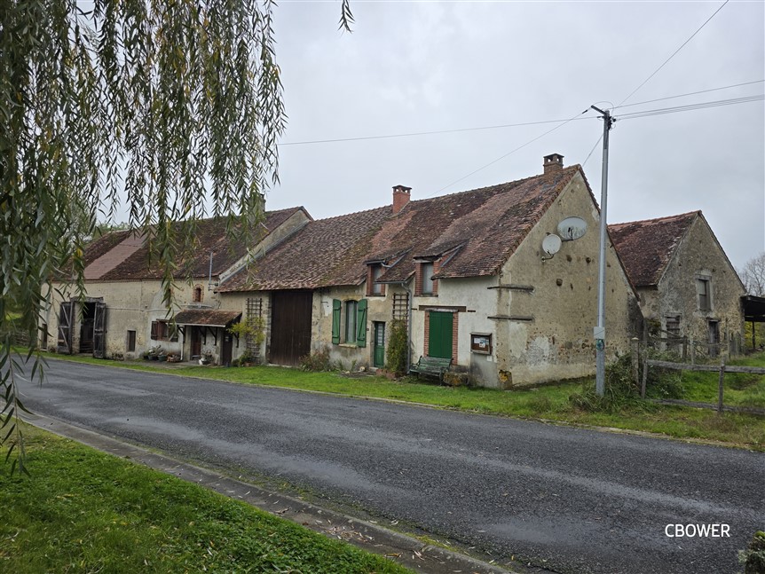For Sale 3 Houses, 2 Barns, Gardens. Lussac-les-Églises. 87 19241