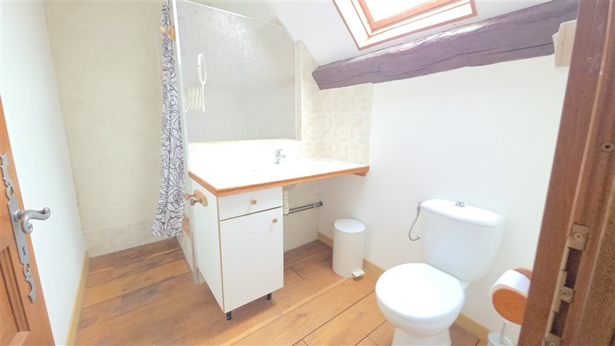 For Sale 3 Houses, 2 Barns, Gardens. Lussac-les-Églises. 87 19259