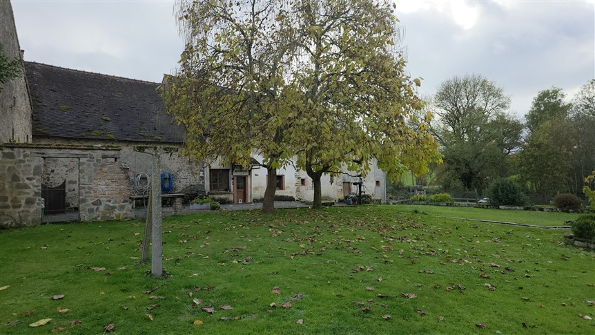 For Sale 3 Houses, 2 Barns, Gardens. Lussac-les-Églises. 87 19270