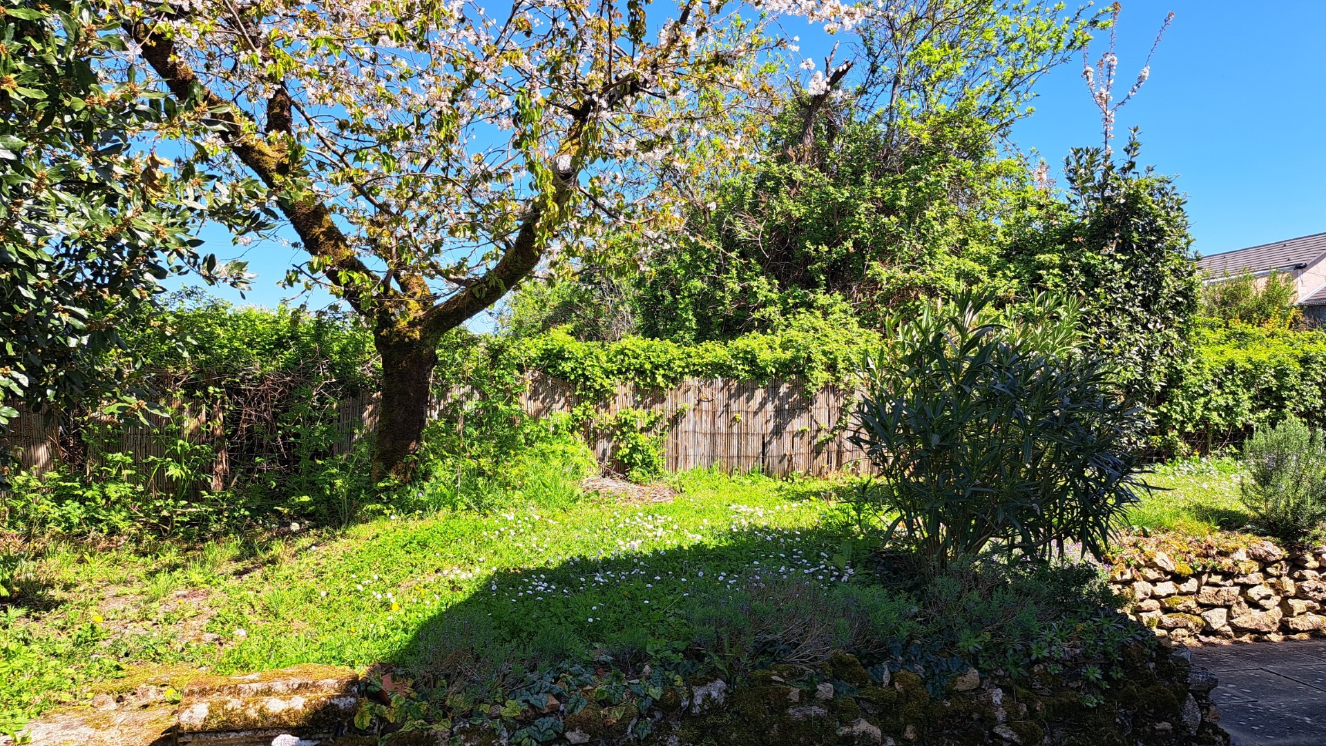 House with garden for sale in Nerignac, Nouvelle-Aquitaine 19400