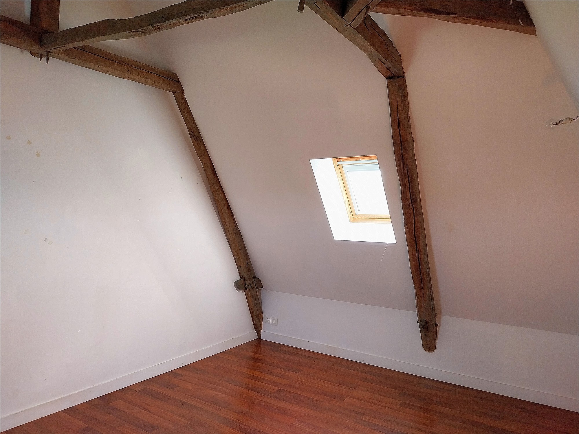 Two houses with garden for sale near Saint Savin 86 19475