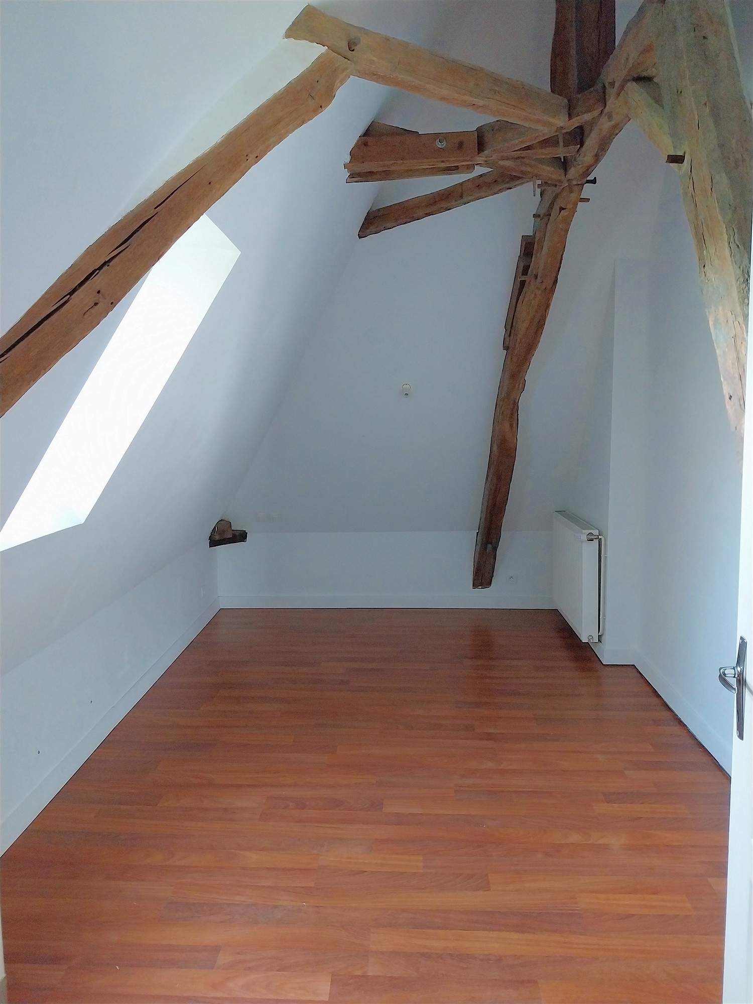 Two houses with garden for sale near Saint Savin 86 19481