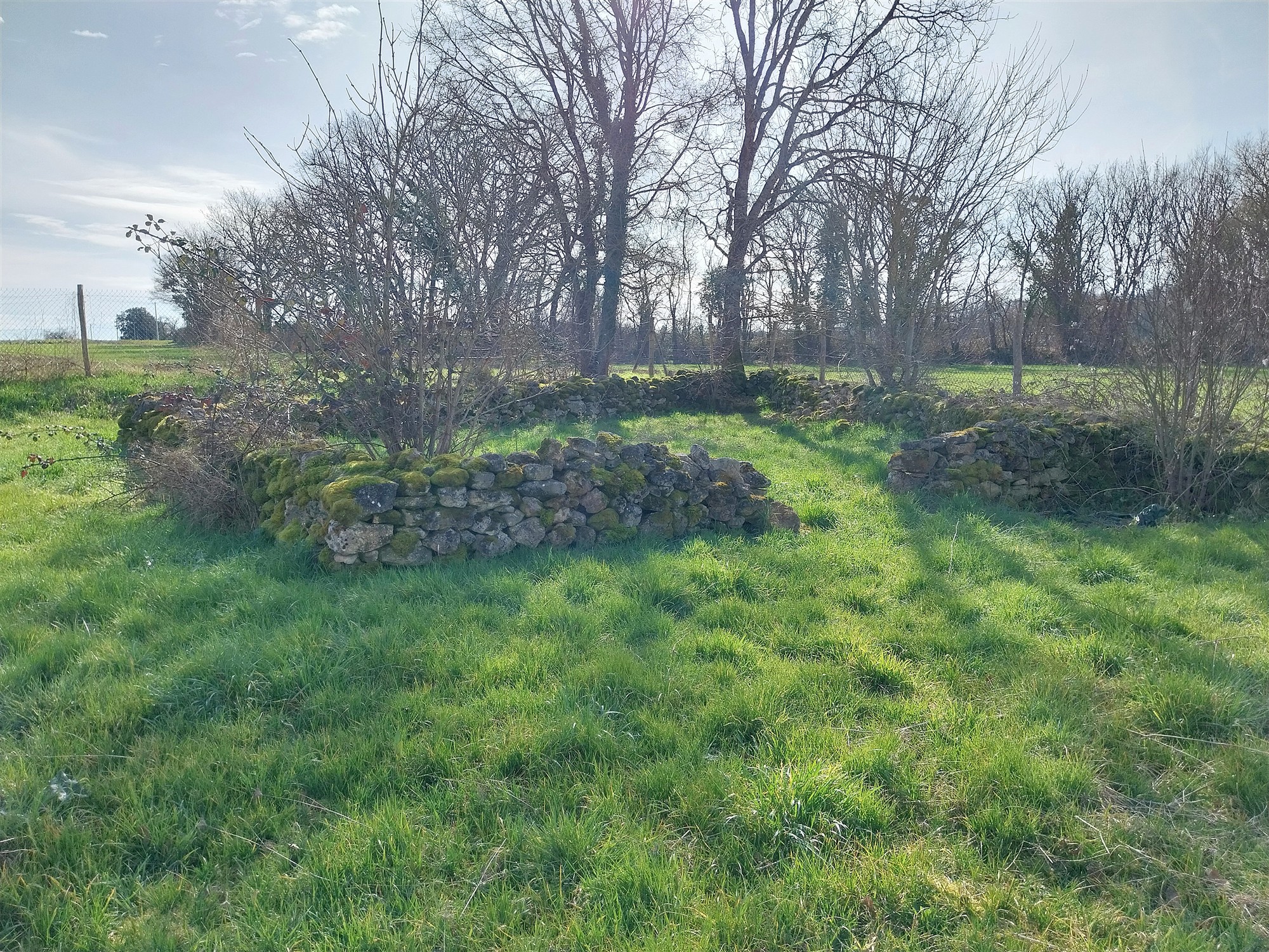 Two houses with garden for sale near Saint Savin 86 19484