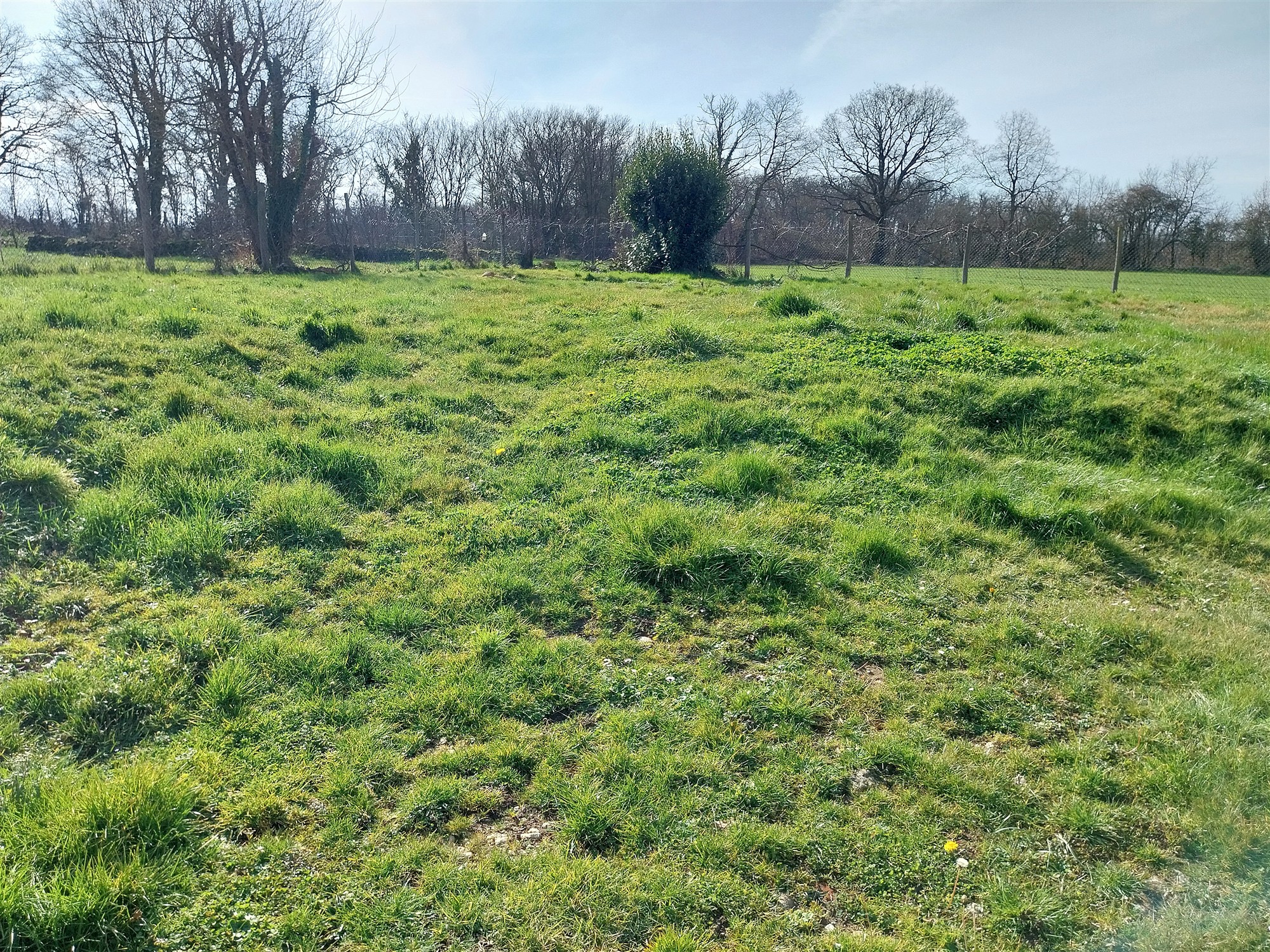 Two houses with garden for sale near Saint Savin 86 19485