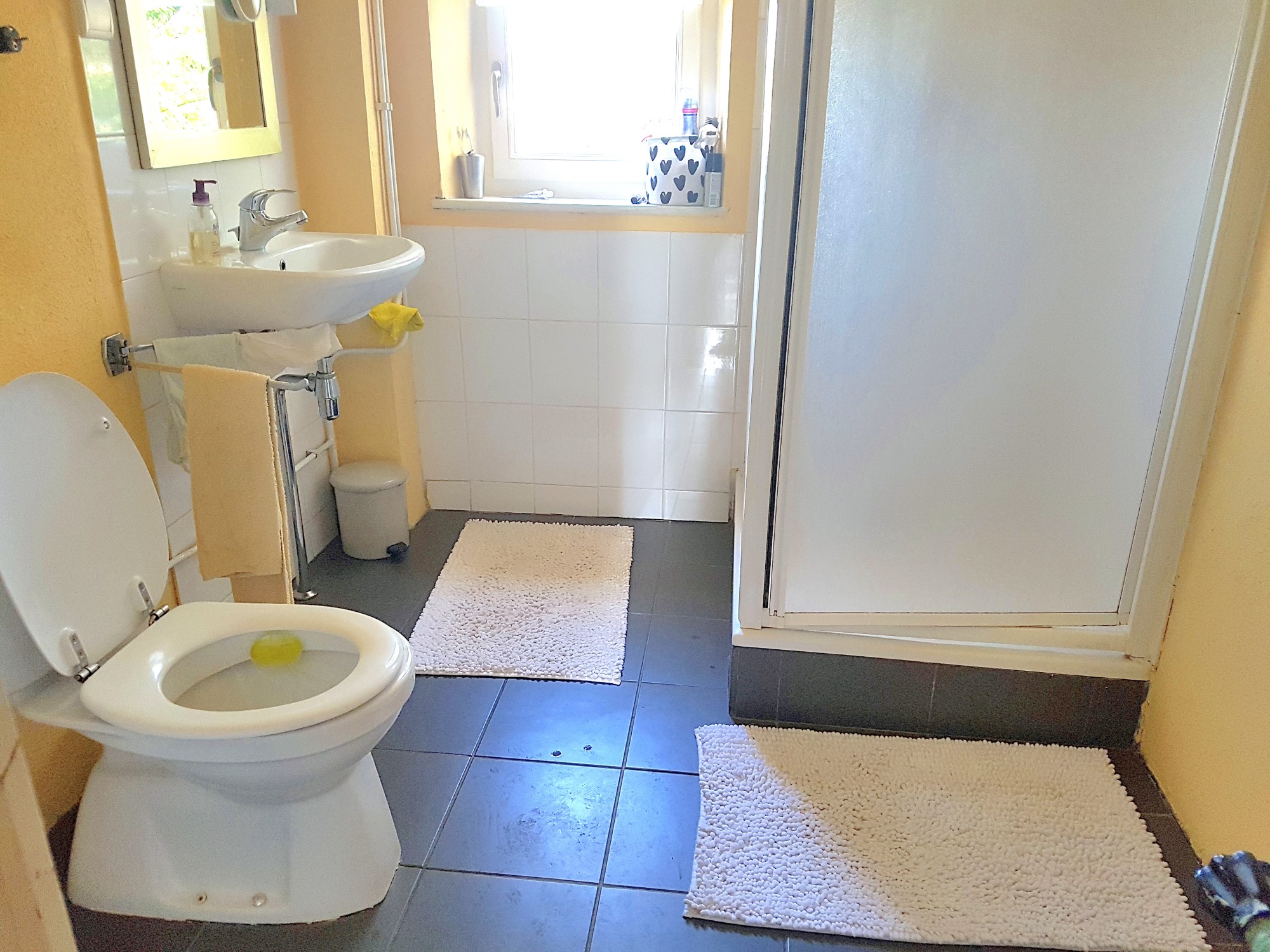 Manor house with garden for sale near Chaillac, Indre 36 19496