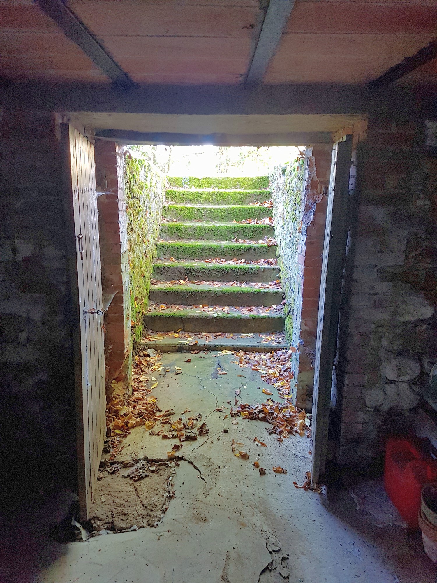 Manor house with garden for sale near Chaillac, Indre 36 19497