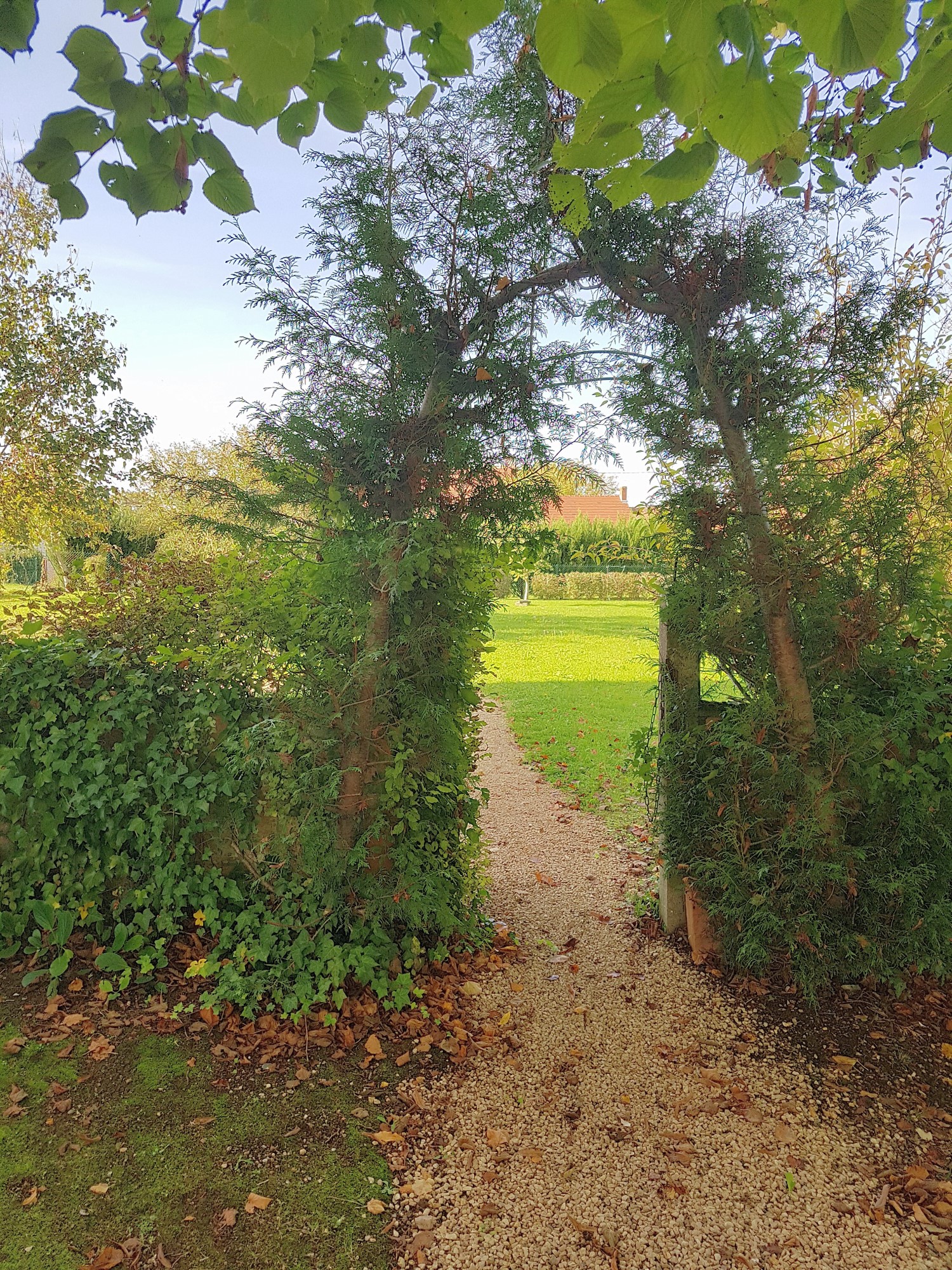 Manor house with garden for sale near Chaillac, Indre 36 19501