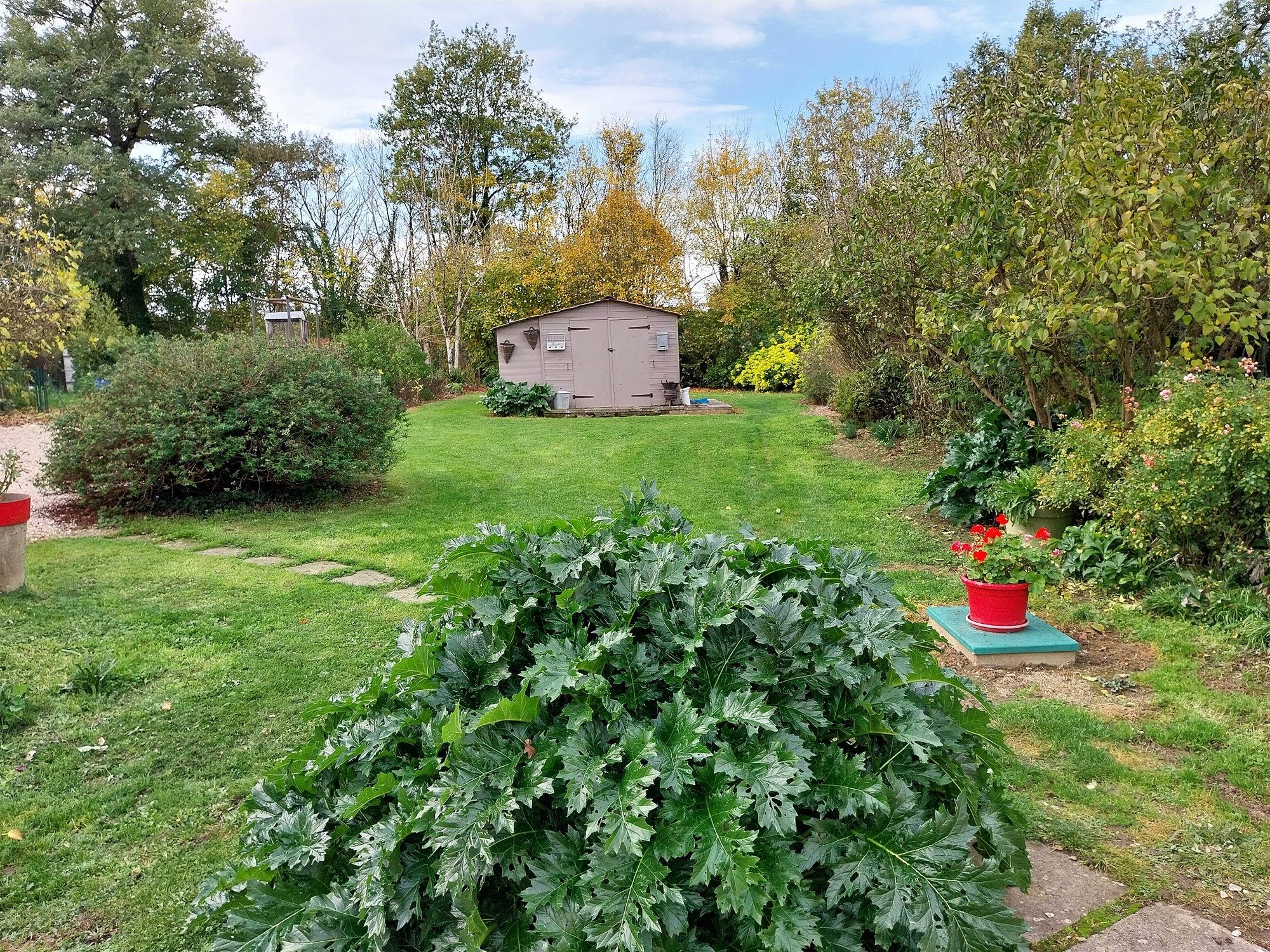 House with big outbuilding for sale near Le Blanc 36 19553