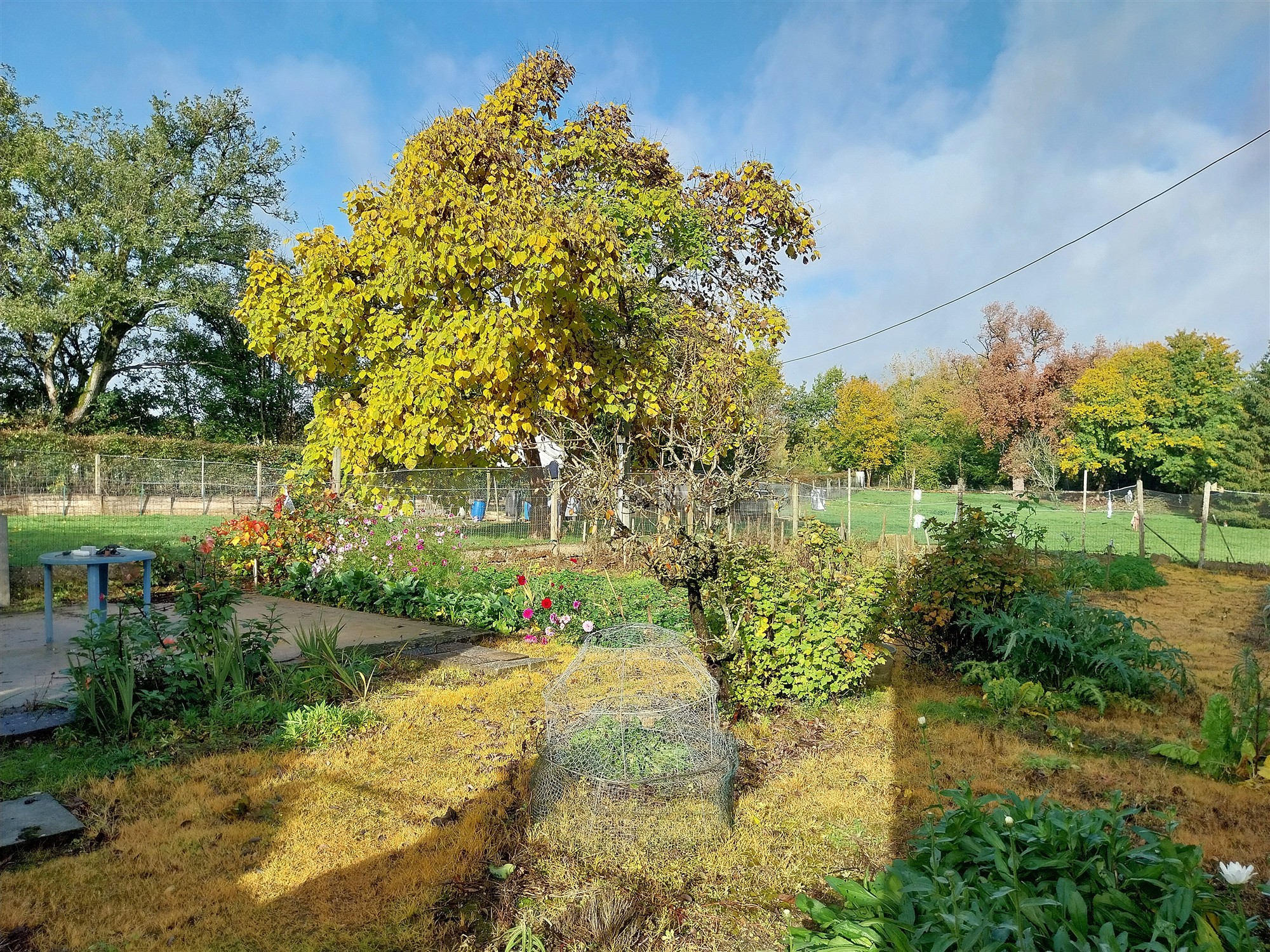 House with big outbuilding for sale near Le Blanc 36 19554