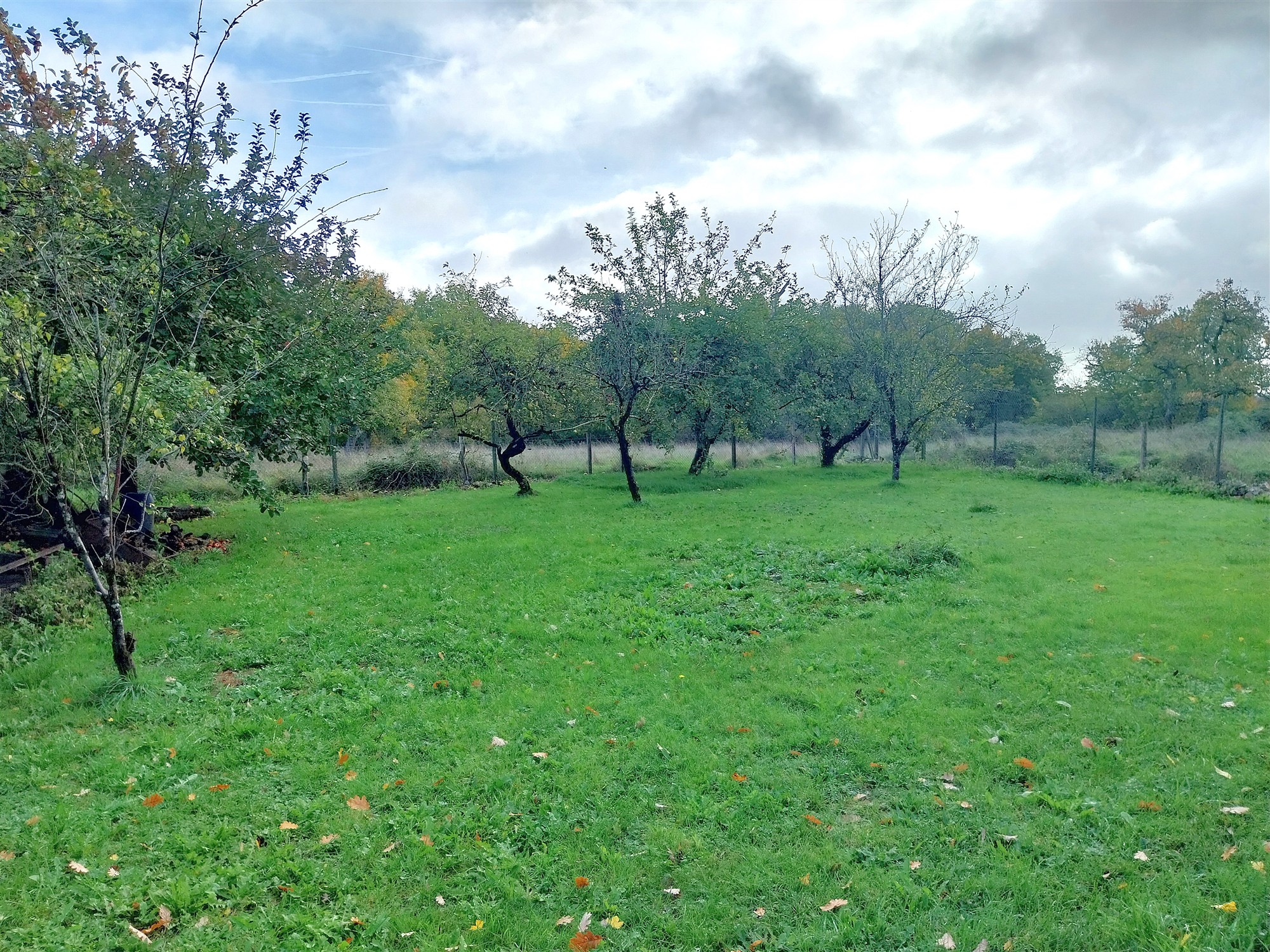 House with big outbuilding for sale near Le Blanc 36 19555