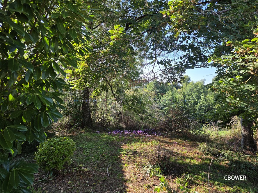 For Sale 5 Bed House with Gardens - Droux – 87 20163