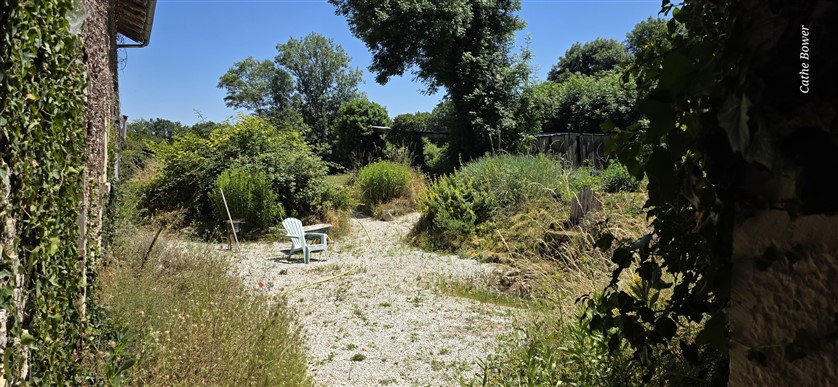 For Sale - Rural Masterpiece with Gites and Pool – Alloue 16 20509