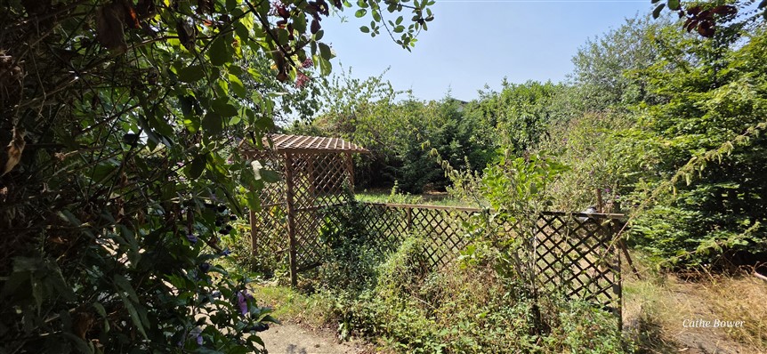 For Sale Edge of Village House - 87 - Exclusive 20639