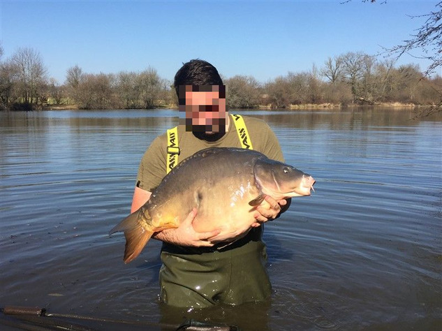 Prestige Carp Fishing Business, Land , Lakes, Houses and 4 Options to Buy 15391